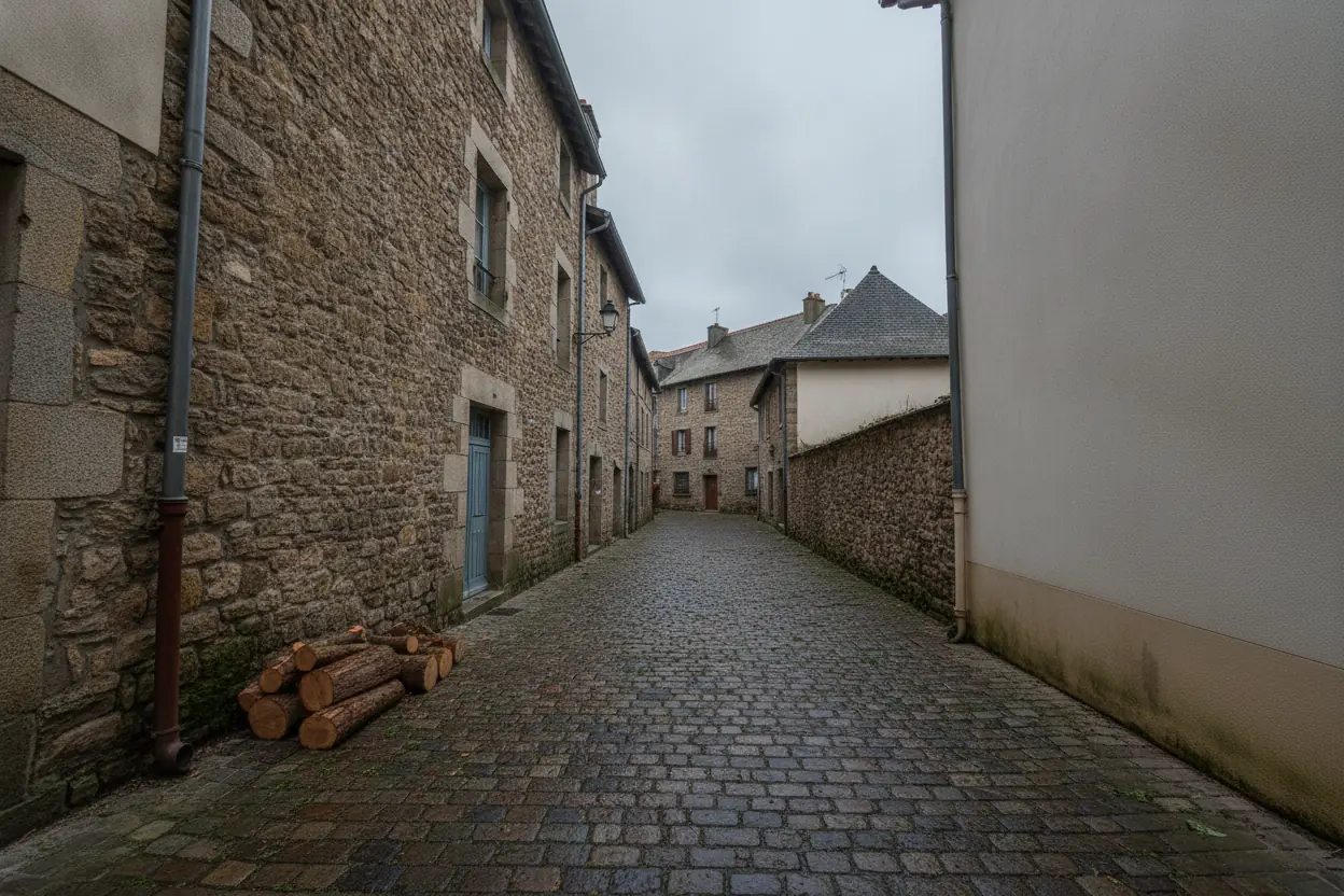 Passage pavé entièrement dégagé après retrait du tronc en accès contraint à Bayonne