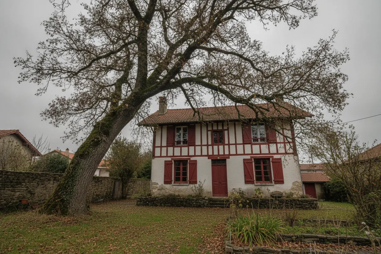 Arbre penché et dangereux vers une maison basque avant démontage à Saint-Pierre-d'Irube